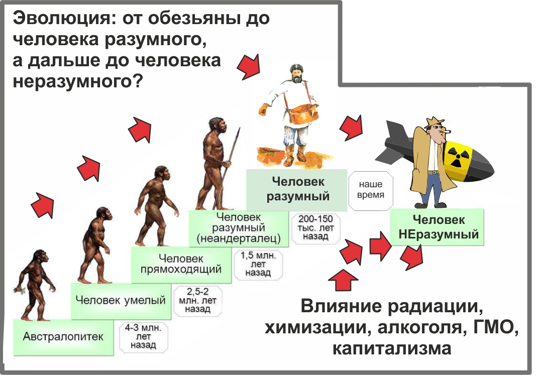 Сколько лет человечеству. Эволюция обезьяны в человека. Эволюция человека с годами. Эволюционная радиация. Эволюция до человека разумного.